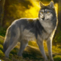 独狼模拟器游戏下载